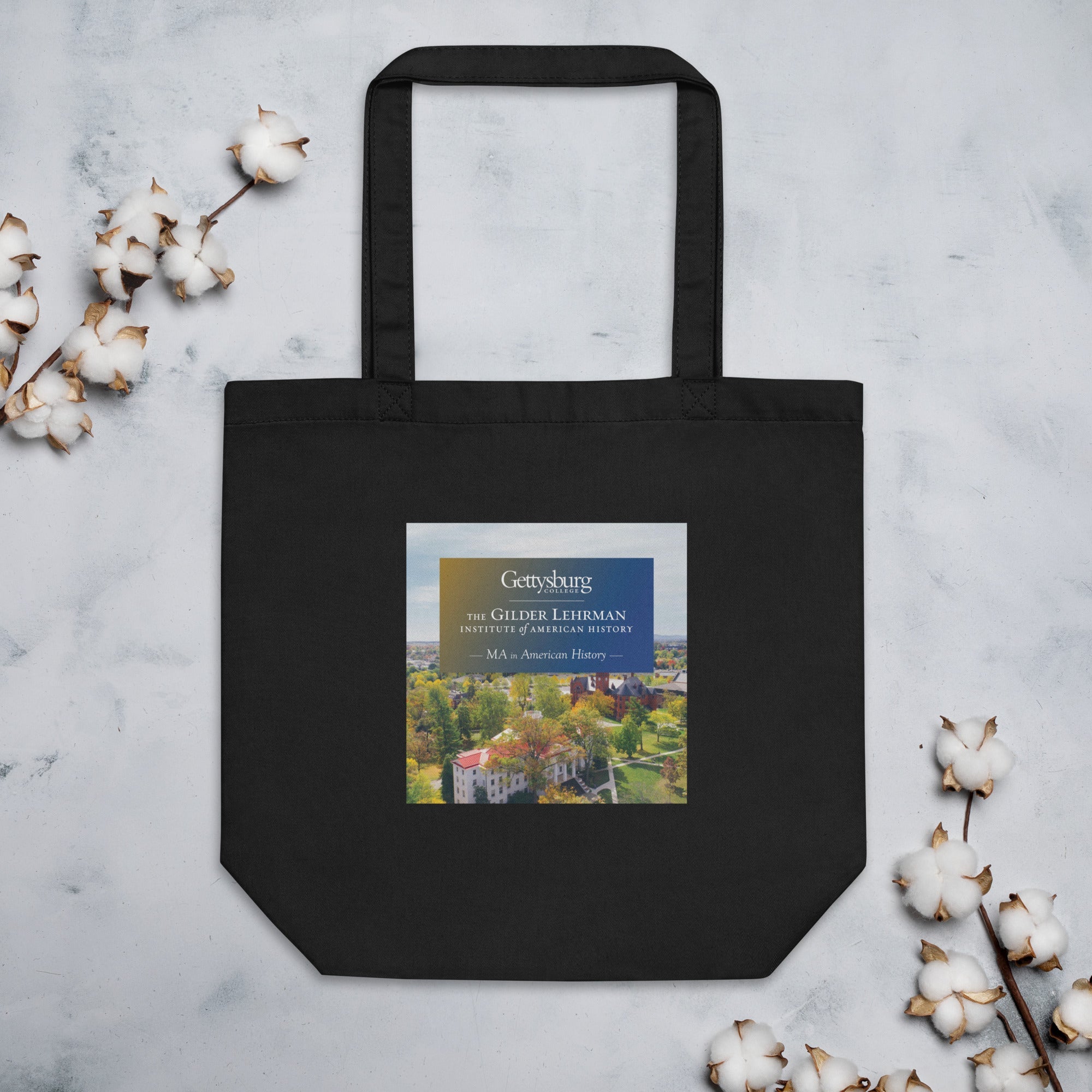 Gettysburg College-Gilder Lehrman MA in American History (tote)